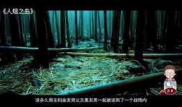 人烟之岛在线观看,探寻神秘岛屿的生存传奇